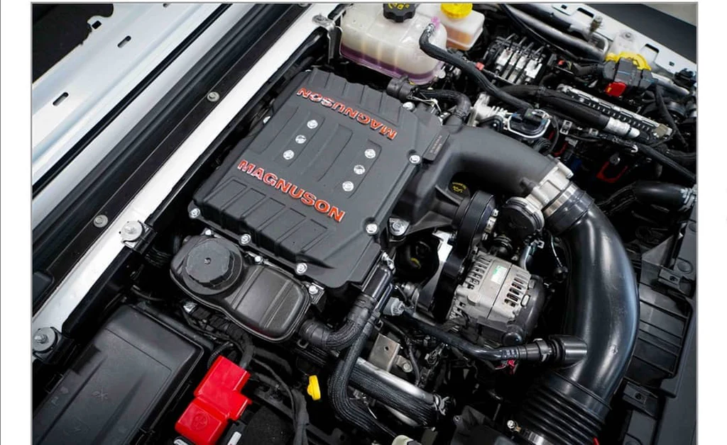 103968228_298305071299531_7113418737_1024x1024